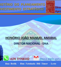 HONÓRIO JOÃO MANUEL AMARAL