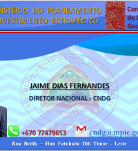 JAIME DIAS FERNANDES