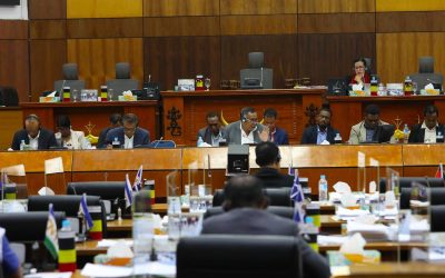 Sua Exelénsia Ministru Planeamentu no Investimentu Estratéjiku (MPIE), Eng. Gastão Francisco de Sousa, 𝐡𝐚𝐥𝐚’𝐨 𝐀𝐮𝐝𝐢é𝐧𝐬𝐢𝐚 𝐏ú𝐛𝐥𝐢𝐤𝐚 𝐡𝐨 𝐊𝐨𝐦𝐢𝐬𝐚𝐮𝐧 𝐂 𝐧𝐨 𝐃 𝐢𝐡𝐚 𝐏𝐚𝐫𝐥𝐚𝐦𝐞𝐧𝐭𝐮 𝐍𝐚𝐬𝐢𝐨𝐧á𝐥